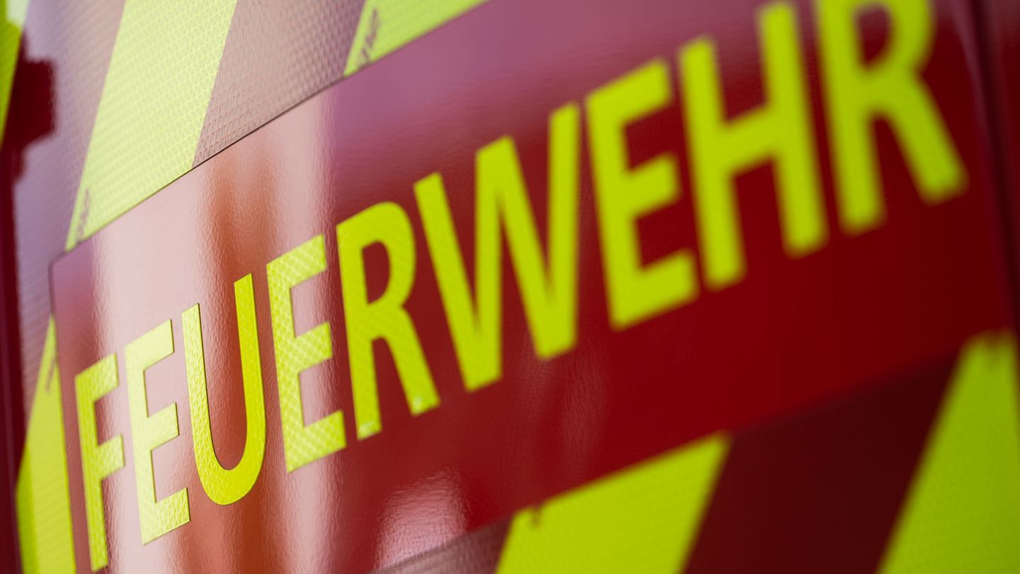 Rettung für Kater: Armer schwarzer Kater – Feuerwehreinsatz