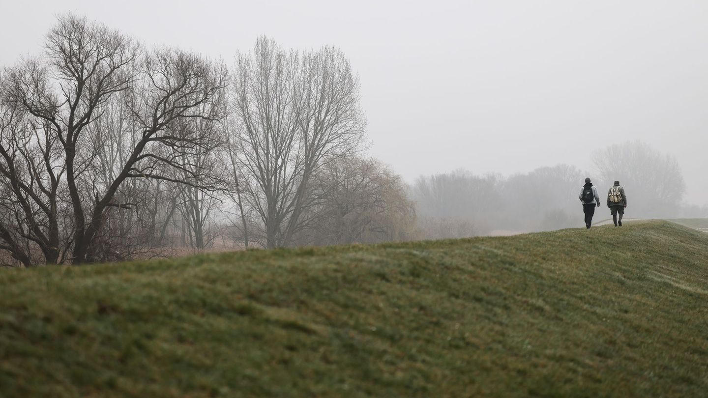 Deutscher Wetterdienst: Regenwetter in Hamburg und Schleswig-Holstein