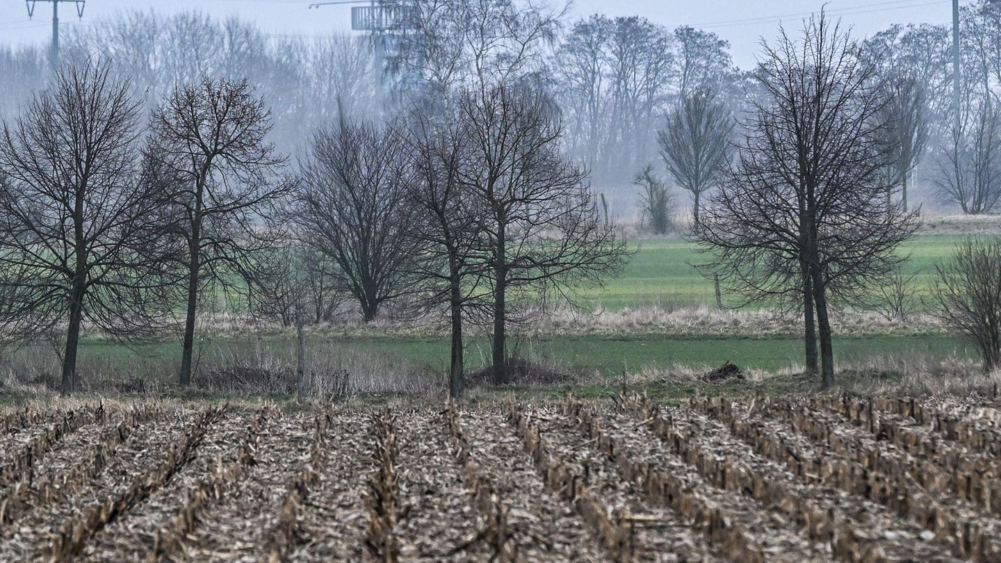 Wetter: Bedeckter Himmel und niedrige Temperaturen