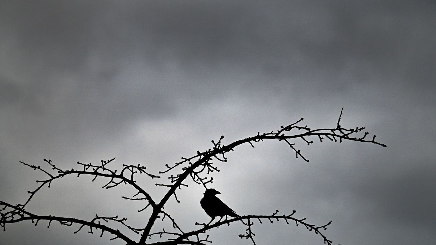 Wetter: Erneut Schnee in NRW erwartet