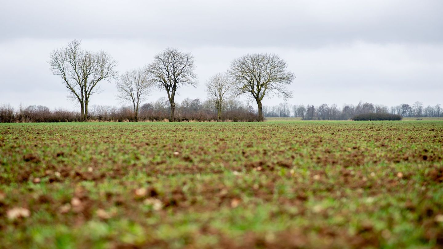 Wetter zum Ende der Woche: Wolken und oft einstellige Temperaturen in Hessen