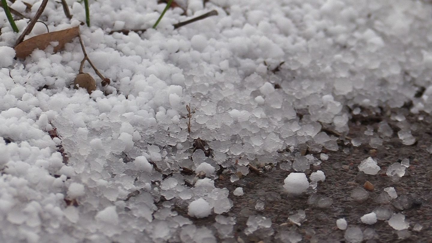 Deutscher Wetterdienst: Schnee- und Regenschauer in Hamburg und Schleswig-Holstein