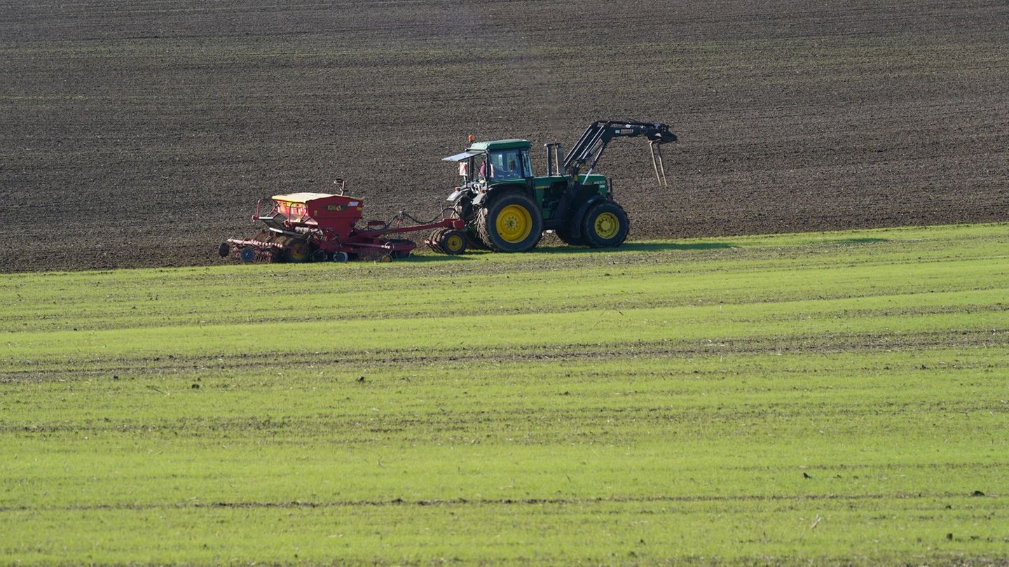 Landwirtschaft im Norden: Kostenlose Beratung für Bauern im Norden