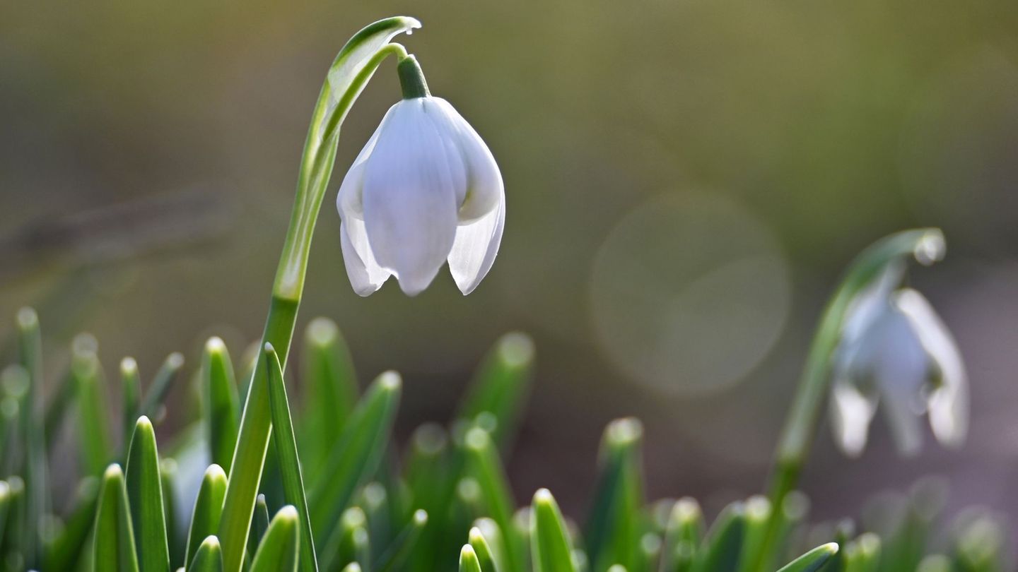 Wetter: Mildes Frühlingswetter in NRW