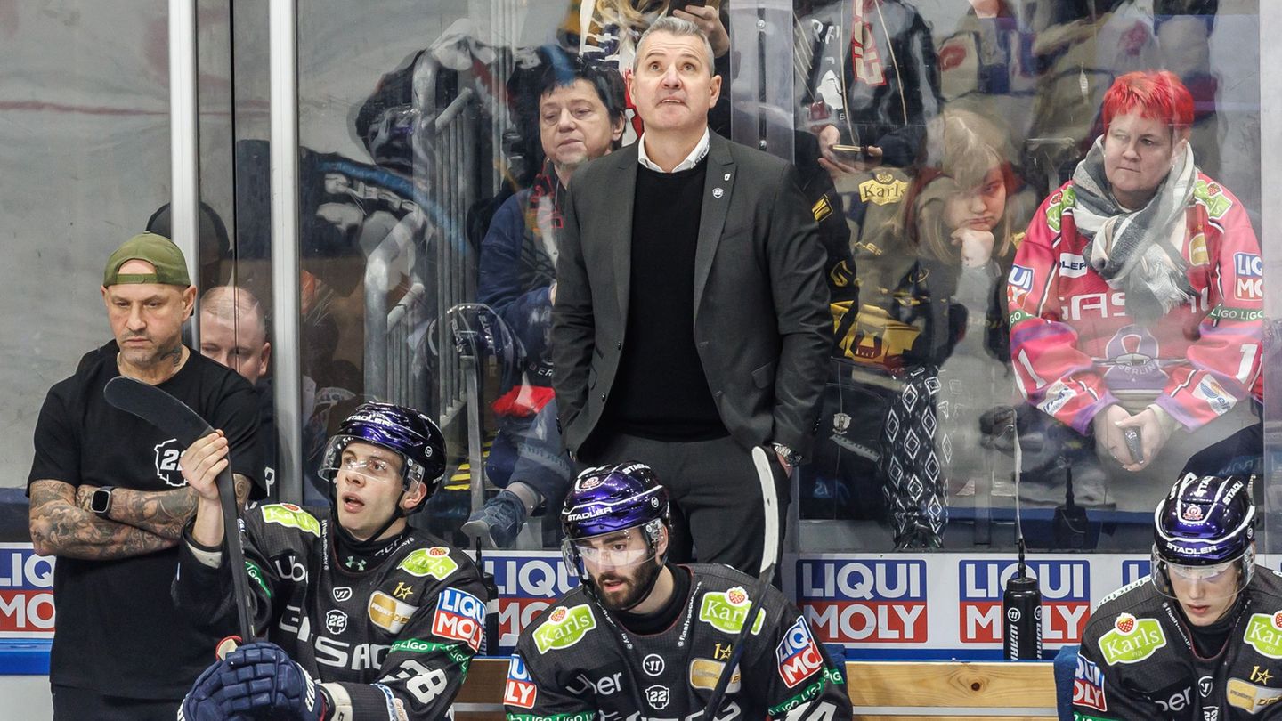 Playoffs in der DEL: Eisbären-Coach Aubin: Playoffs eine Achterbahn der Gefühle