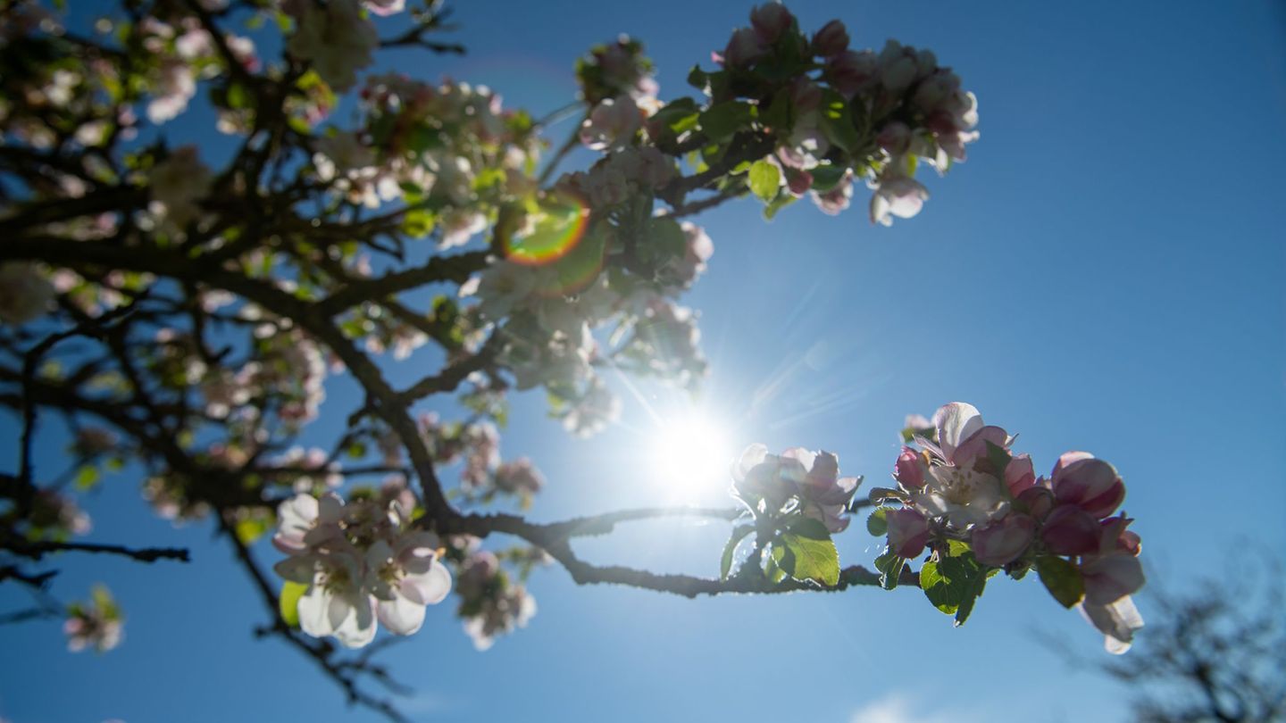 Wetter in Bayern: Der Wochenstart bringt frühlingshaftes Wetter