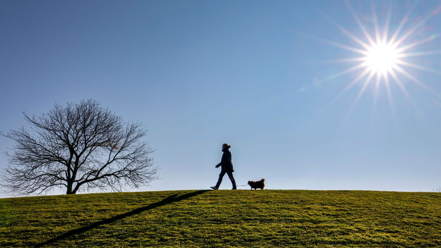 Frühling: Neue Woche bringt Frühlingswetter