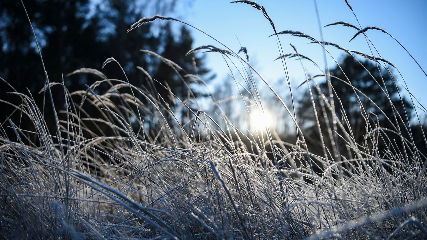 Wetter: Sonne und Frost in Berlin und Brandenburg