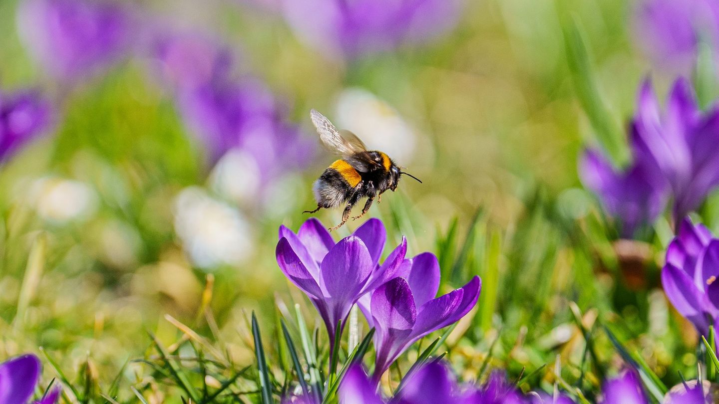 Wetter: Sonniges Frühlingswetter in Hessen