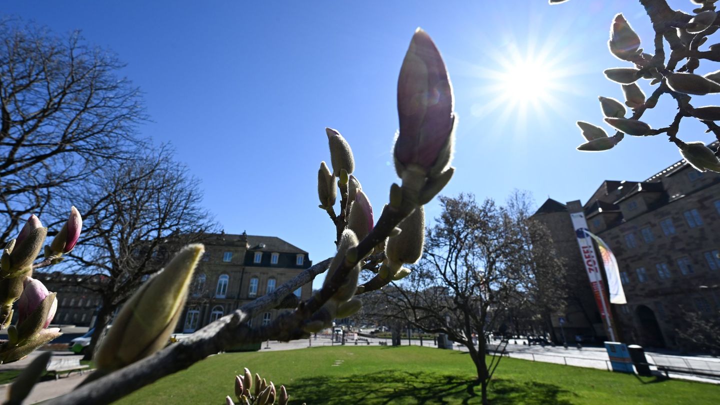 Wettervorhersage: Temperaturen über 20 Grad und vereinzelt Regen in Sicht