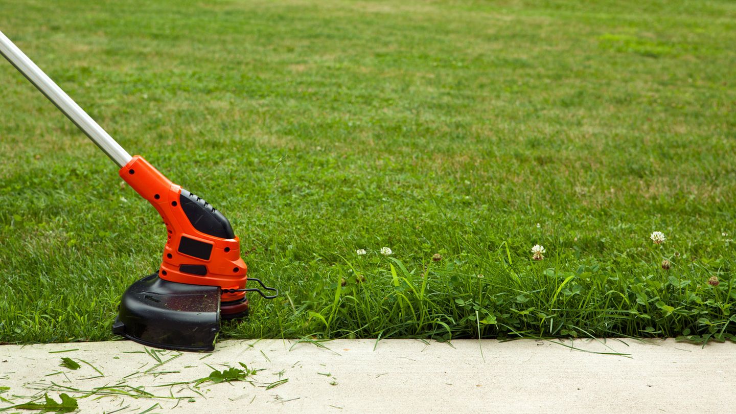 Garten-Angebote: Einhell Akku-Rasentrimmer für 43 Euro: Die Top Garten-Deals am Montag