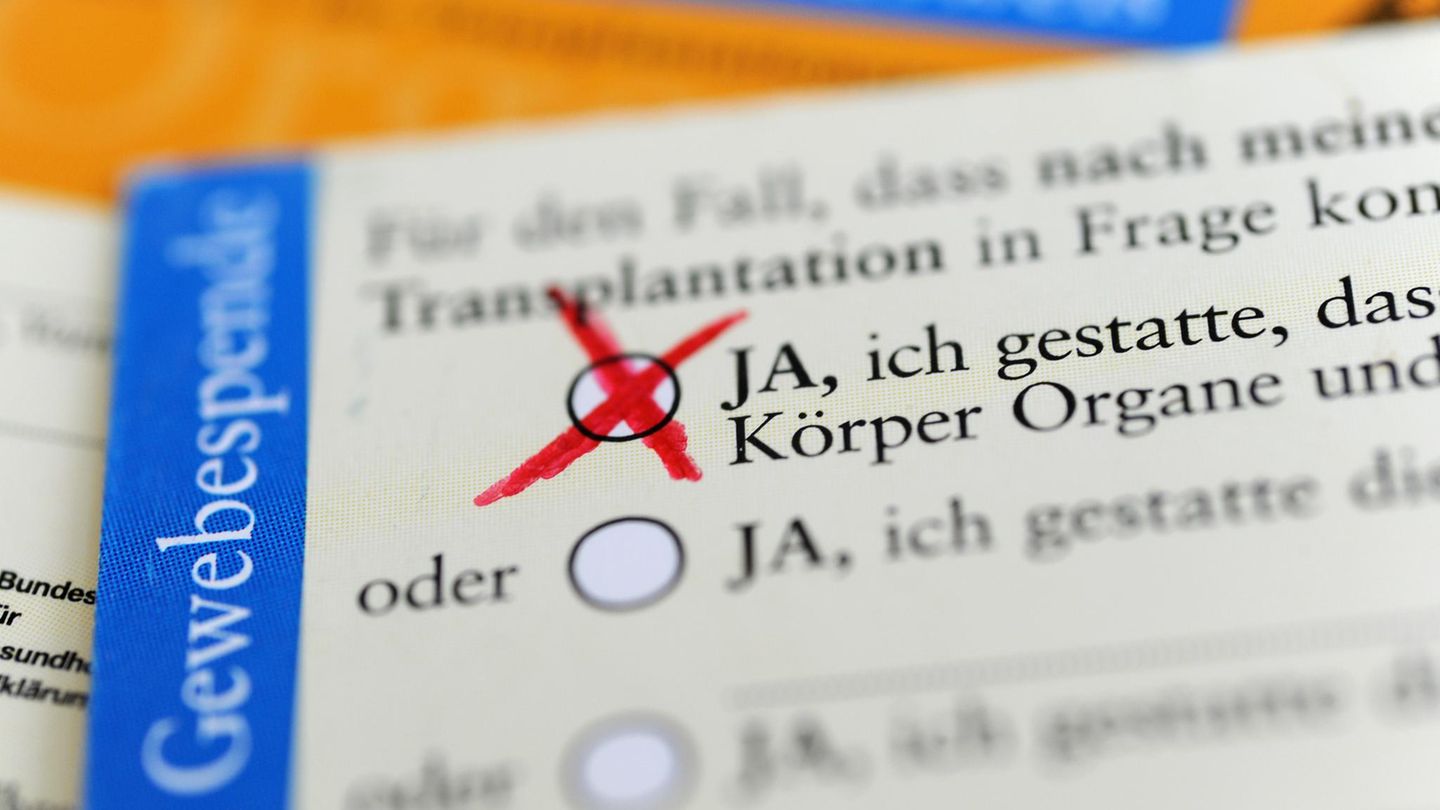 Transplantationsmedizin: Neues Organspende-Register: Nur knapp 280.000 Menschen verzeichnet