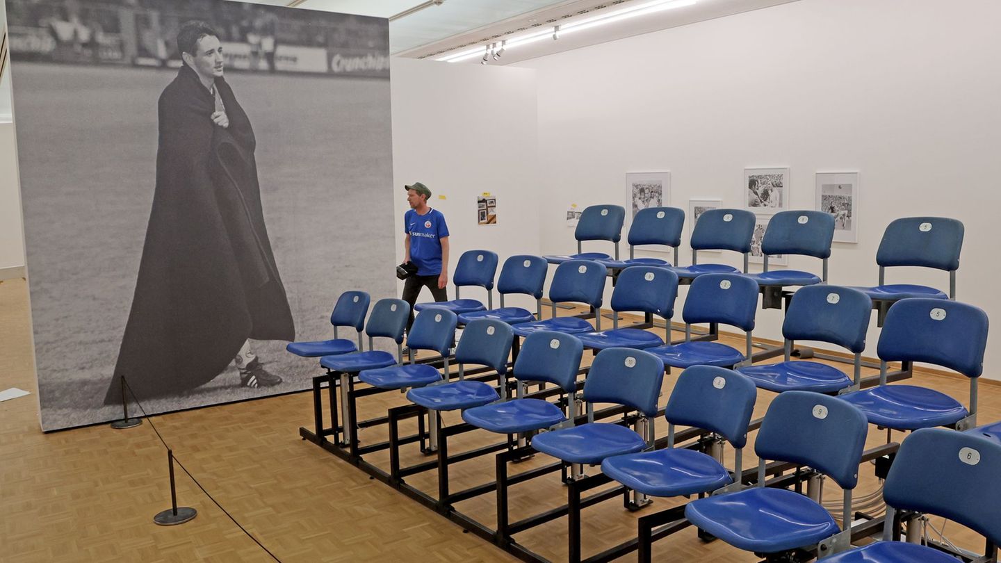Fußball & Kunst: Heimspiel in der Kunsthalle: 60 Jahre F.C. Hansa Rostock
