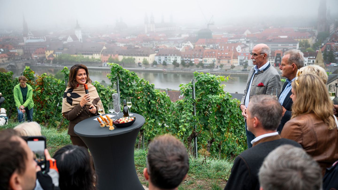 Weinbau: Fränkische Weinlese eröffnet – „vielversprechender Jahrgang“