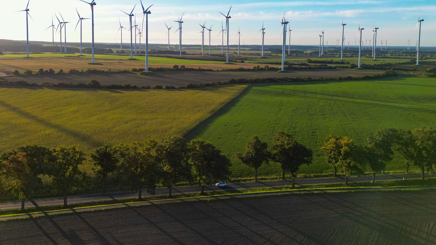 Erneuerbare Energien: Brandenburg will keinen unkontrollierten Windkraft-Ausbau